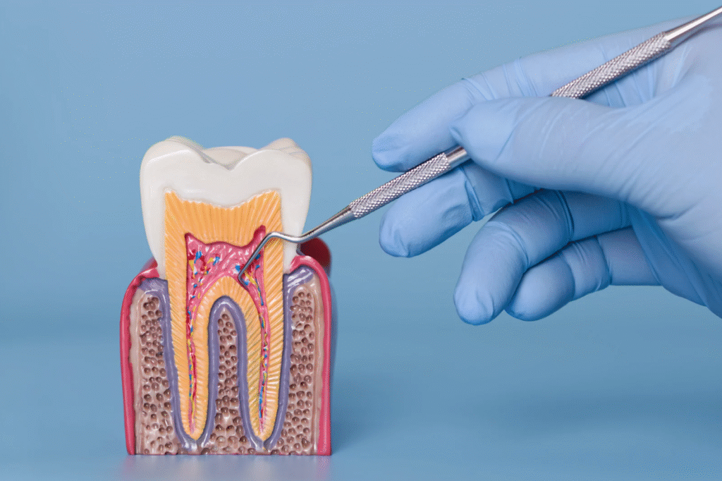 screenshot 2025 12 31 at 5.21.13 pm